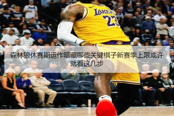 森林狼休赛期运作暗藏哪些关键棋子新赛季上限或许就看这几步